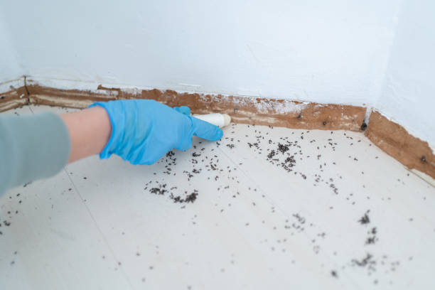 Best Pest Control for Multi-Family Homes  in Gladstone, OR